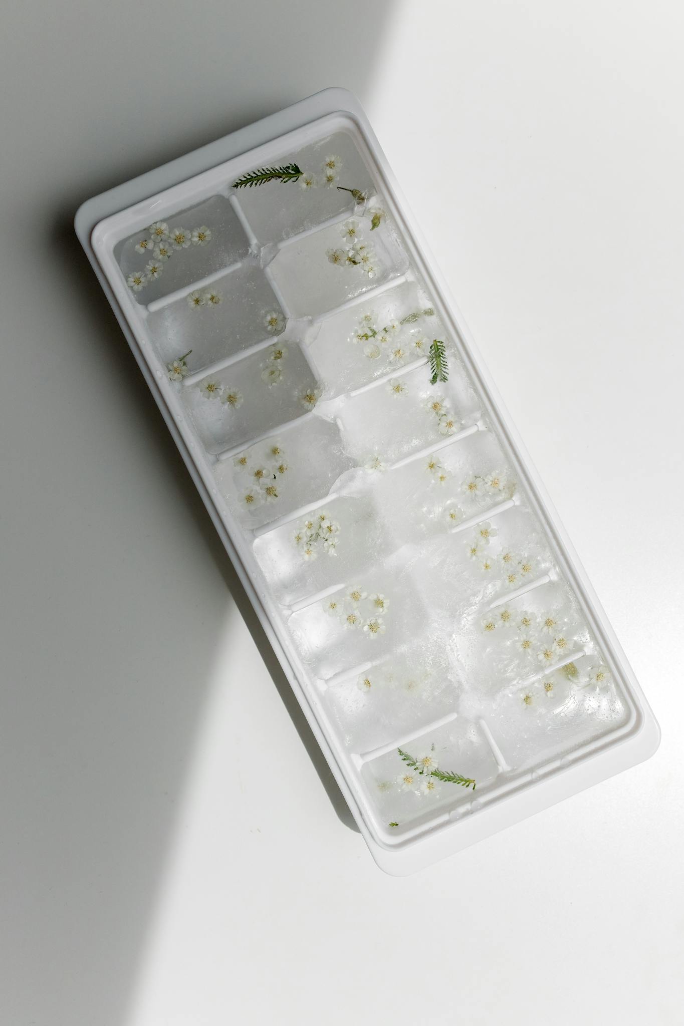 Minimalist ice cube tray filled with delicate flowers, perfect for artistic culinary designs.